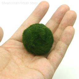 Bolas de musgo Marimo para aquário vivo, algas vegetais, peixe e camarão, ornamento de aquário, planta artificial verde, 3-4cm - Image 2