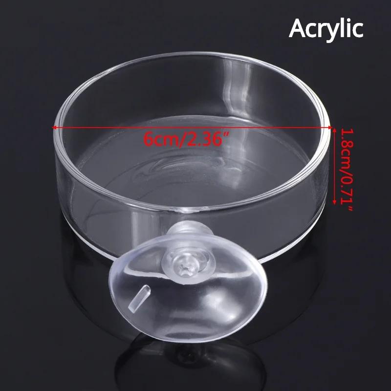 Prato De Tubo De Alimentação De Vidro Claro, tanque De Peixes, camarão, alimentador De Comida De Caracol, tigela, aquário Alimentação Ferramenta Acessórios - Image 1
