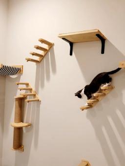 Prateleira de escalada na parede para gatos, Escada com corda de sisal, Arranhador, Árvore para dormir gatinho, Steps Furniture - Image 3