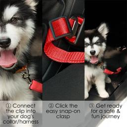 Cão de estimação gato cinto de segurança do carro trela ajustável cinto de segurança do veículo suprimentos para animais de estimação arnês segura alavanca tração collar filhote de cachorro trela - Image 3