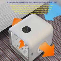 Secador automático para animais de estimação para gatos e cães pequenos ultra silencioso secador de cabelo do cão com temperatura constante de 39 graus inteligente e 360 de secagem - Image 5