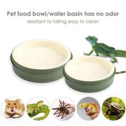 Bandeja de alimentação de bambu, pequena tigela de água réptil, alimentador de alimentos para lagungas, tartarugas, sapos eremita, caranguejos, lagartos - Image 2
