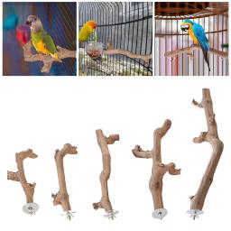 Ventosa de madeira poleiro brinquedo parede viagem gaiola vara papagaio poleiro suporte para papagaio pequeno médio pássaros lovebird ardósitos periquito - Image 4