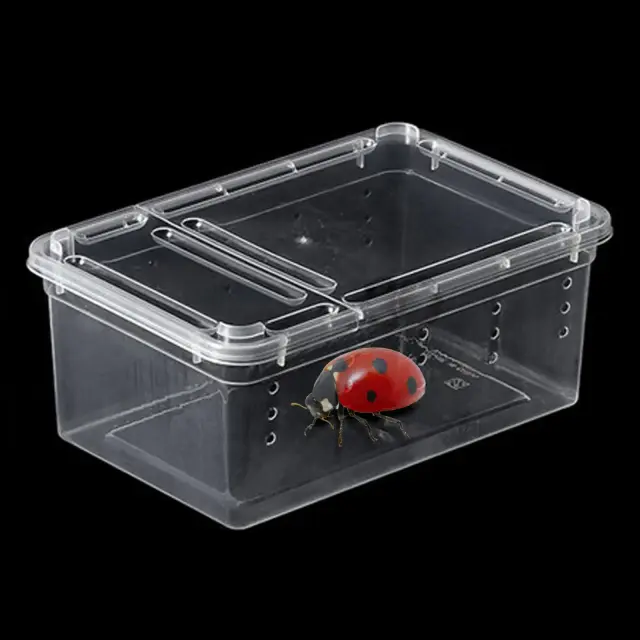 Terrário portátil multifuncional para répteis, caracóis e roedores