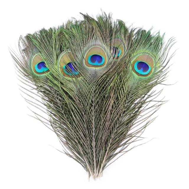 Lote com 10 Pçs de Penas de Pavão Naturais de 25-30cm para Artesanato e Decoração de Festas e Casamentos
