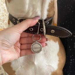 Pingente de identificação para animais de estimação, acessório de coleira personalizada com nome e número para gato e cachorro - Image 6