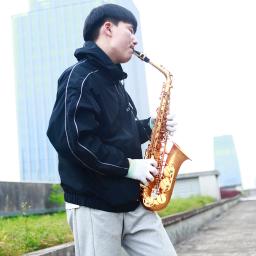 SLADE-Eb saxofone Alto com Case, bronze, fosco, ouro, E Flat, Sax, instrumento de sopro, Boutique, palhetas Acessórios - Image 3