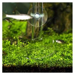 VIV Aquário Bacia De Alimentação De Vidro, Ninho De Cristal, Bacia De Camarão, Acessórios De Tanque De Peixes, Qualidade ADA, Suprimentos - Image 3