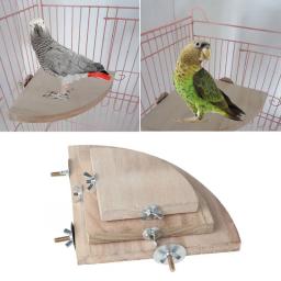 Suporte de madeira em forma de ventilador para gaiola, Acessórios para papagaios, Perch para animais pequenos Chinchilla Squirrel Hamster, Stand Board - Image 3