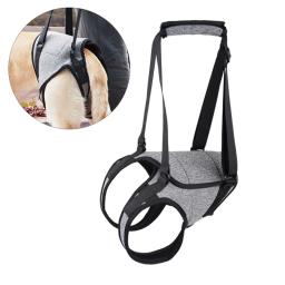 Arnês elevação para cães com suporte para para cães idosos feridos deficientes, suprimentos para animais - Image 5