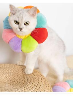 Coleira médica protetora anti-mordida para pet, coleira de gato e cachorro, flor do arco-íris, colar de recuperação, cone, acessórios para animais - Image 6