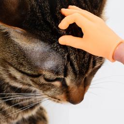 Provocando luvas de plástico para gato e cachorro, mão humana falsa, brinquedos interativos, pet caress suprimentos, mão pequena - Image 1