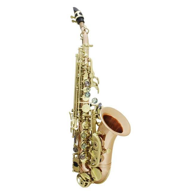 Saxofone Soprano Bb Completo com Estojo, Escova, Bocal e Acessórios para Músicos