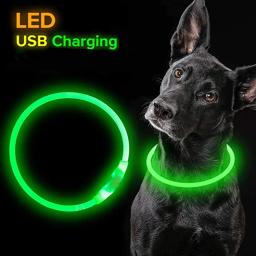 Led Dog Collar Luminous Usb Cat Dog Collar 3 Modos Levou Luz Brilhante Prevenção Perda Coleira LED Para Cães Pet Dog Acessórios - Image 5