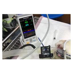 Handheld Oxímetro Pulso Veterinária, SPO2 TEMP Monitor, Vet Tongue Probe Function, Equipamento Veterinário, Pet Acessórios, 3,5" - Image 5