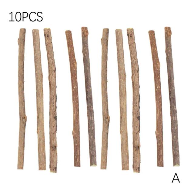 Pasta de Dente Natural para Pets com Lanches Saudáveis e Brinquedos Nip - 10 Peças, 3-6mm