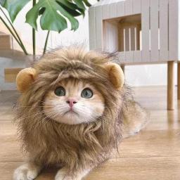 Peruca de juba de leão para gato, Cosplay vestir, fantasia para cachorro, decoração de festa, Halloween e Natal, chapéu pet - Image 5