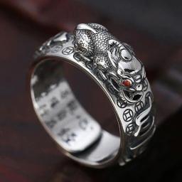 Chinese Feng Shui Anéis Ajustáveis Banhados a Prata para Homens e Mulheres, Amuleto Riqueza, Jóias da Sorte, Presente de Aniversário - Image 6
