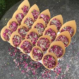Pétalas biodegradáveis para casamento e decoração de festa, confetes biodegradáveis - Image 5