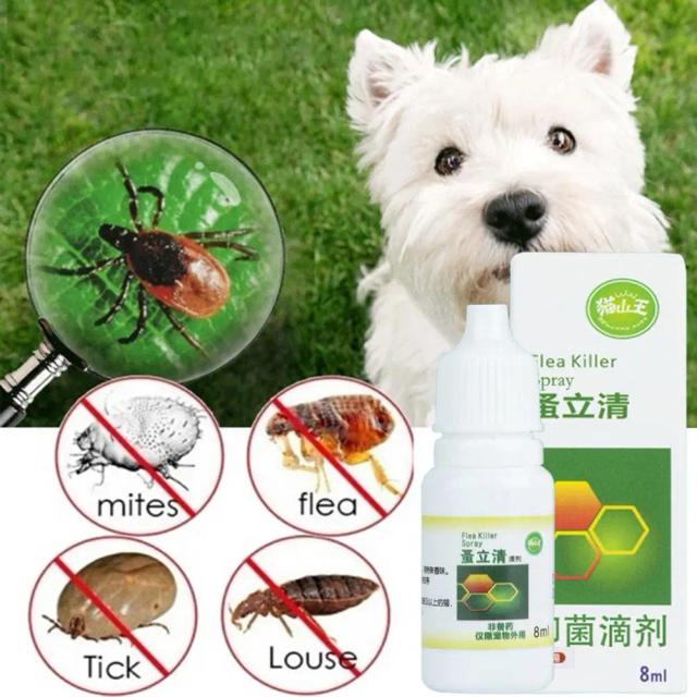 Spray Universal para Animais de Estimação: Alívio da Coceira e Remoção de Pulgas, Carrapatos e Ácaros em um Produto Seguro de 120ml