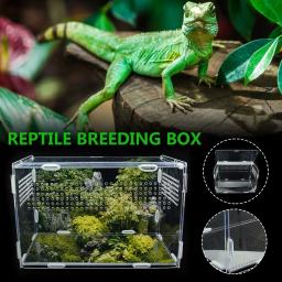 Grande terrário acrílico caixa de répteis durável transparente suprimentos para animais de estimação para animais de sangue frio réptil animal de estimação inseto casa acolhedor - Image 5