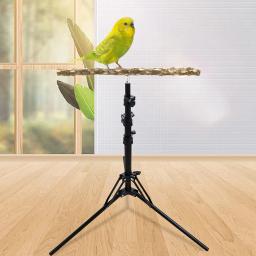 Pássaro poleiro stand com altura ajustável, Natural Wood Parrot Toy, Indoor e Outdoor Pássaro Stands, Pássaros pequenos e médios - Image 2