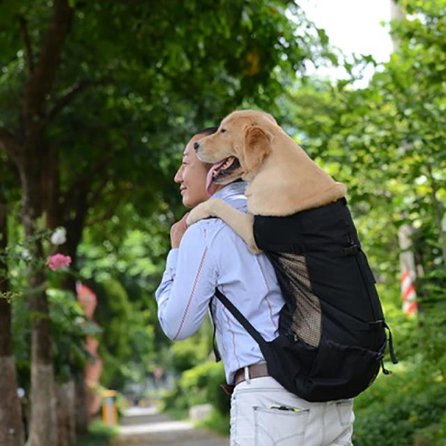 Bolsa de Ombro Portátil para Pets, Transportadora Respirável para Cães em Caminhadas e Viagens, Mochila de Malha para Filhotes, Tamanhos S a XL