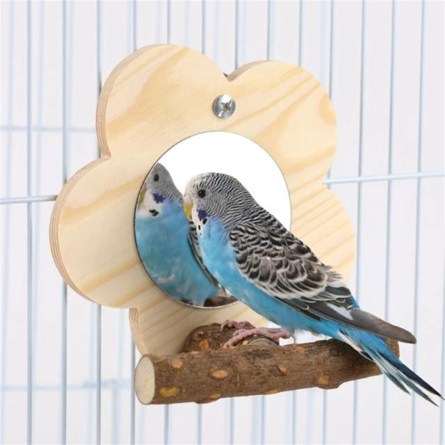 Suporte Natural para Pássaros: Plataforma de Poleiro para Papagaios e Gaiolas com Ramo Perch