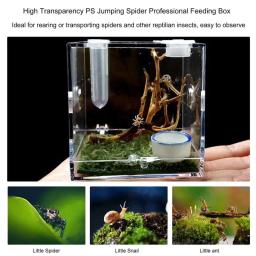 Caixa De Reprodução De Répteis Terrário Caixa De Reprodução De Répteis De Plástico Gaiola De Terrário Caixa De Visualização De Insetos Para Grilo Aranha Besouro Caracol - Image 6