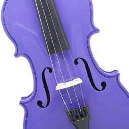 Roxo 4/4 violino iniciantes profissionais violino acústico instrumento de cordas conjunto violino com caso arco acessórios - Image 6