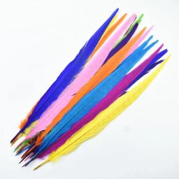 Penas de feisão naturais coloridas para artesanato, decoração de penas grandes longas, acessórios de carnaval decoração, atacado, 40 a 45cm - Image 2