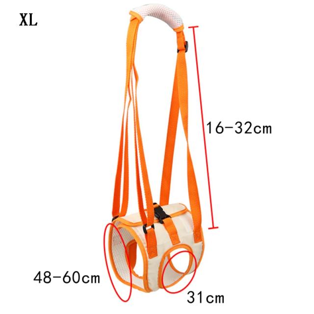 Arnês Ajustável para Cães com Suporte para Pernas Traseiras - Ideal para Animais com Mobilidade Reduzida - Nova Ferramenta de Assistência 2022