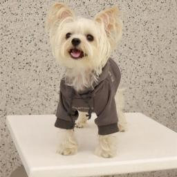 Hoodies forrado com lã, moletom de cachorro, suéter quente macio, roupas para cães pequenos, poodle maltês, designer, carta - Image 6