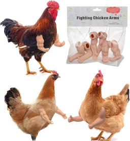 Engraçado Combate Frango Braços Brinquedos, Artificial Vestindo Braço Muscular para Pombo, Hen Pet Tema, Adereços de festa, Frango Acessórios Suprimentos - Image 2