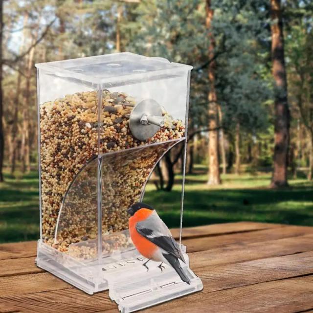 Alimentador Automático de Pássaros: Sem Bagunça, Ideal para Papagaios e Periquitos Pequenos e Médios