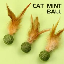 Pet Mint Catnip Toy para gatos Bola de segurança comestível Jogo de Perseguição Doméstica Saudável, Produtos de brinquedo Dentes limpos - Image 1
