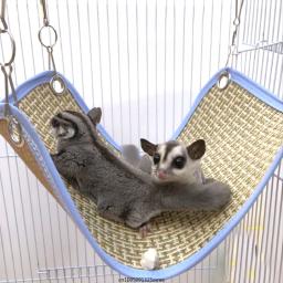 Rede para pequenos animais de estimação, balanço suspenso, casa de hamster, ninho fresco, gaiola de roedores, cama da árvore, pet fornecimentos, verão - Image 1