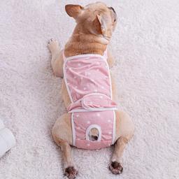 Lavável cão fralda shorts sanitários, suspensórios ajustáveis, pet calças fisiológicas, roupas para cães, cuecas cuecas - Image 1