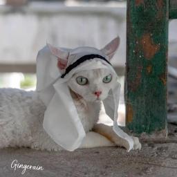 Halloween O Oriente Médio Pet Headscarf Hat, árabe Sunscreen Cap, chapéu do gato, criativo orelha Baring Headwear, Pet fornecimentos - Image 1