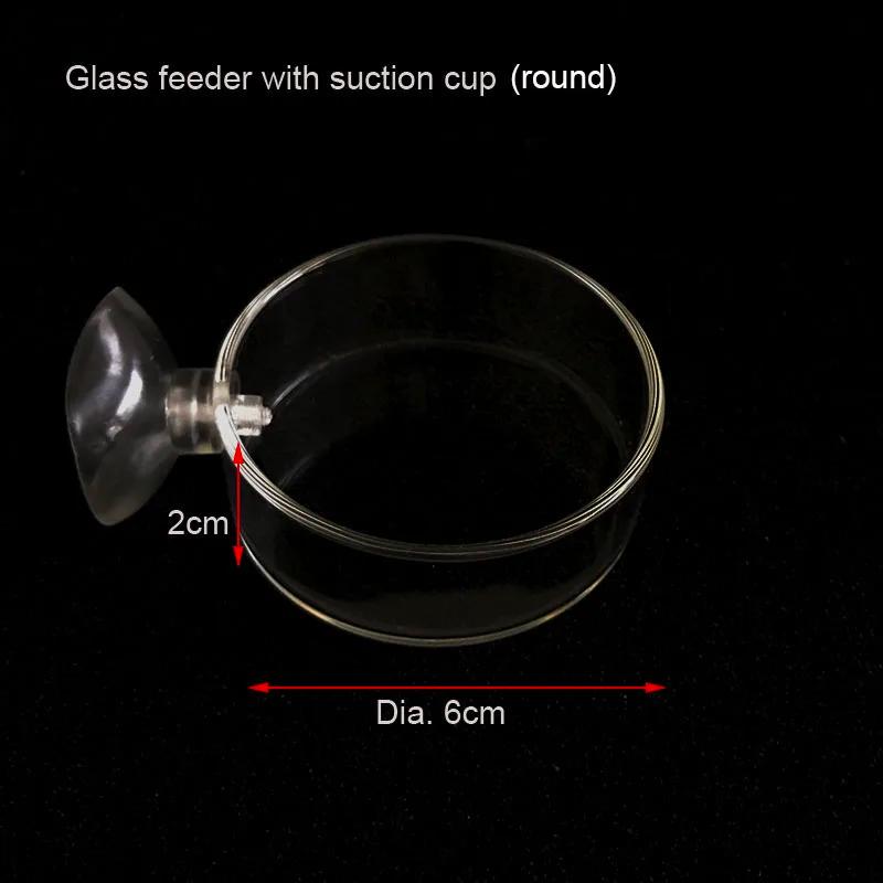 Tubo De Alimentador De Aquário De Vidro Tanque De Peixes Transparente Alimentador De Comida De Caracol De Camarão, Tigela, Acessórios De Alimentação - Image 1