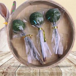 1/2 pçs natural coelho hamster grama mascar varas de comida para animais de estimação brinquedo lanche natural para hamsters coelho cobaia chinchilas esquilo - Image 1