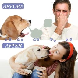 Spray oral para animais, remove manchas e odores, respiração fresca, cuidados com cães e gatos, boca de gatinho, 50ml - Image 6