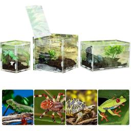 Caixa de reprodução de répteis acrílicos, terrário transparente, inseto, aranha, lagarto, escorpião, gaiola de alimentação, arbóreo - Image 2