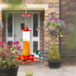 Alimentador de pássaros pendurado beija-flor alimentador de pássaros anti-antes à prova de vazamento fácil de limpar decoração de jardim ao ar livre - Image 3