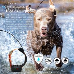 Impermeável Pet GPS Tracker Collar, Treinamento para cães para caça, Sim Card, Rastreadores para animais de estimação - Image 2