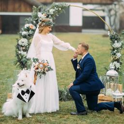 Smoking bandana formal para cães com gravata borboleta, roupa de casamento, acessórios de vestir, traje de cachorro, lenço de cavalheiro - Image 5