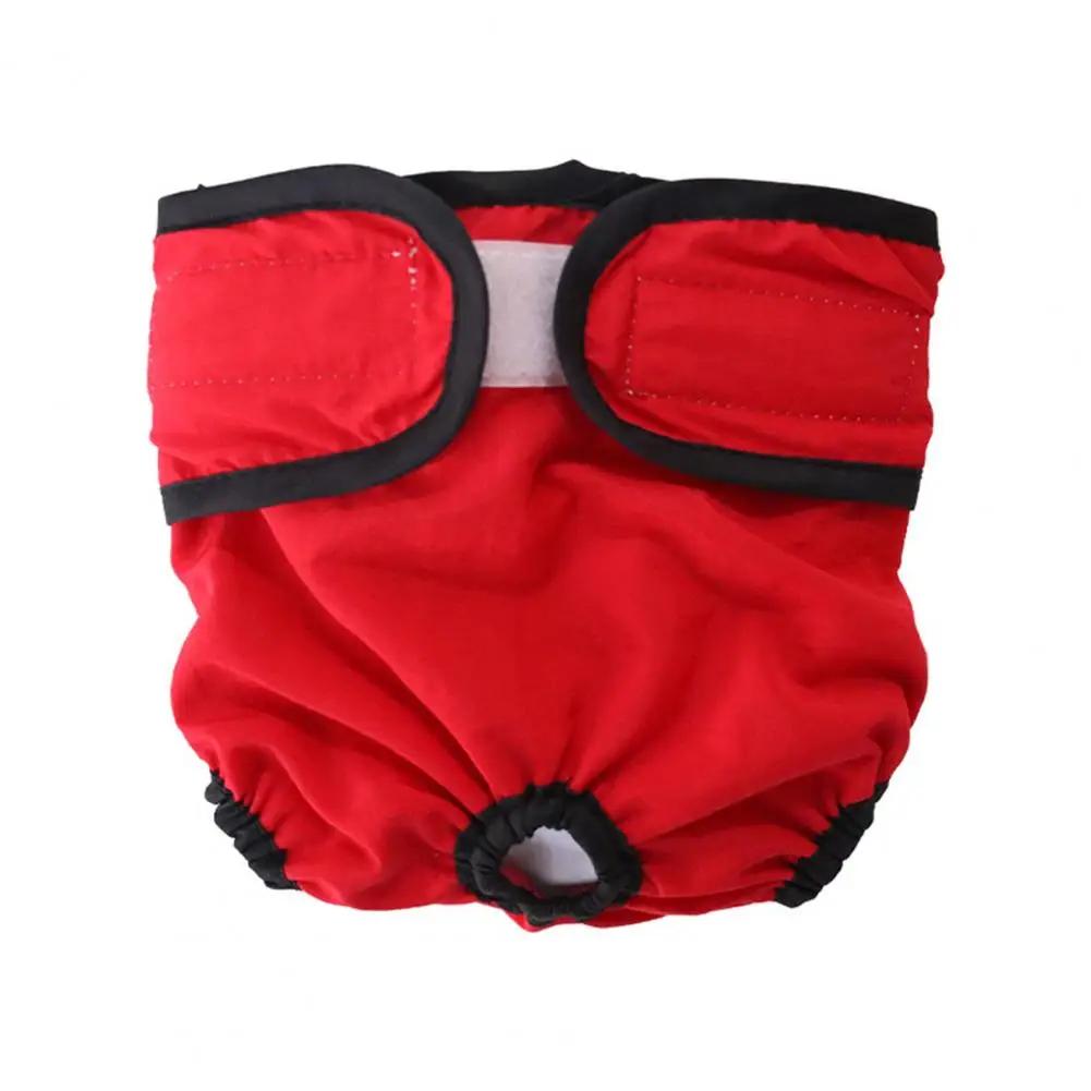 Animal de estimação calças fisiológicas ajustável prendedor fita elástica lavável à prova dcrotch água algodão virilha cachorro calças menstruais fralda sanitária - Image 1