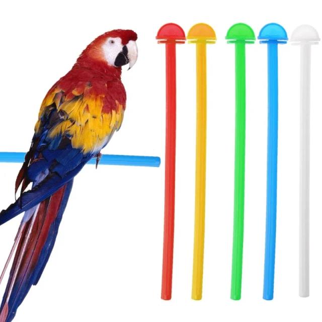 Suporte para Pássaros em Plástico com Plataforma para Canários e Periquitos - Ideal para Poupar Espaço e Aclimatação