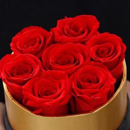 Romântico Nível A Eterna Rosa na Caixa, Real Preservado Conjunto De Presentes De Flores, Decoração De Casa, Dia Dos Namorados, Presentes De Casamento, Esposa Durável - Image 4
