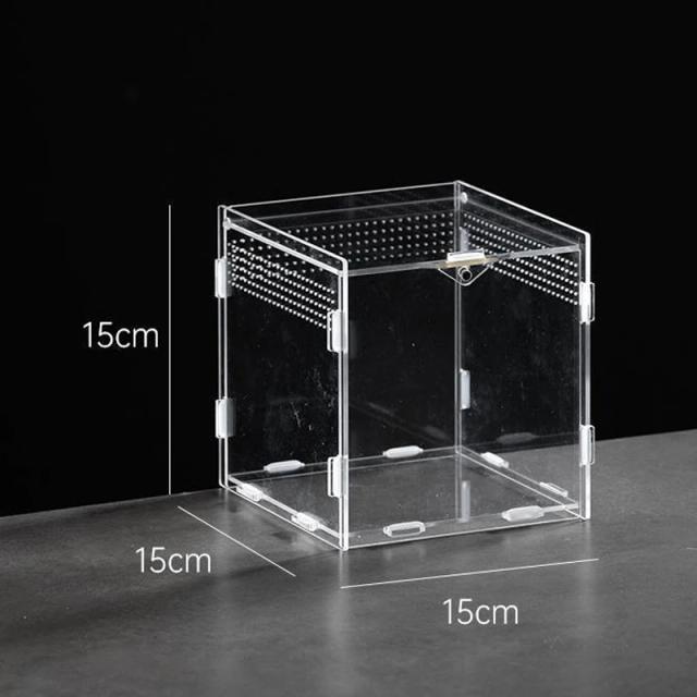 Habitat de Répteis Acrílico Transparente 30x20x15cm